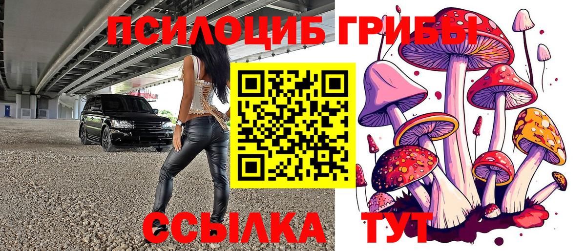 Галлюциногенные грибы Psilocybine cubensis Нурлат