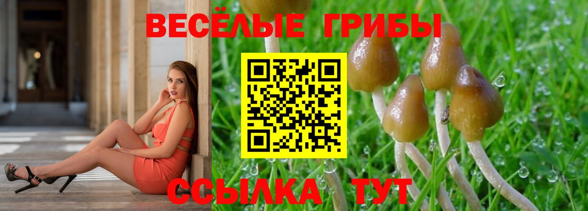 Галлюциногенные грибы Cubensis  Вход с VPN  Нурлат 